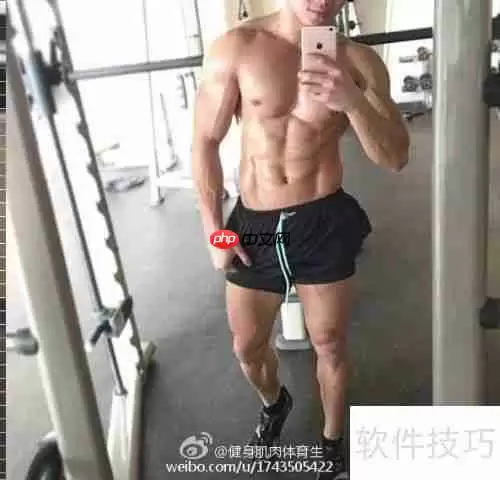 青少年健身健美计划指导手册