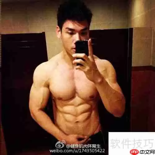 青少年健身健美计划指导手册
