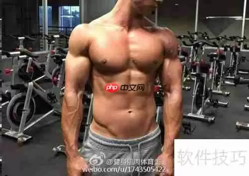 青少年健身健美计划指导手册