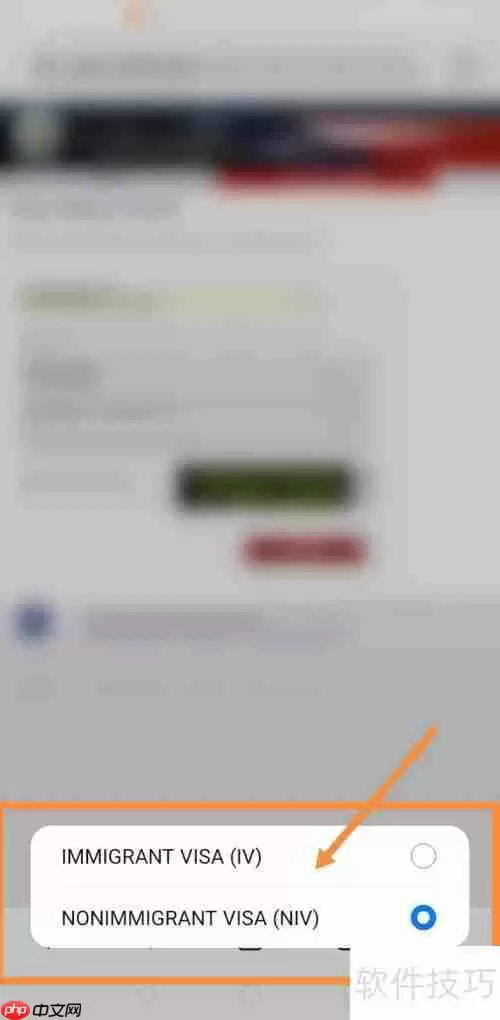 美国签证状态查询系统使用指南