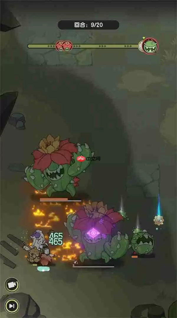 杖剑传说双仙人掌贤者通关方法分享