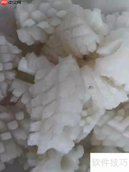 健美食谱:鱿鱼面——美味与健康的完美结合