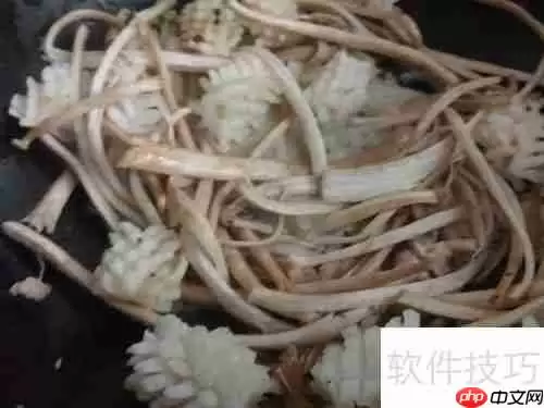 健美食谱:鱿鱼面——美味与健康的完美结合