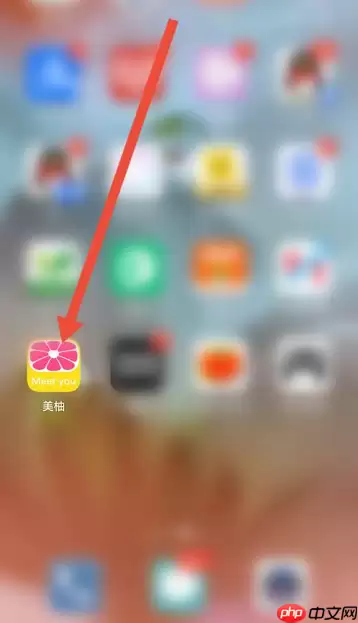 美柚怎么查看免责声明?美柚查看免责声明的方法