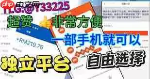 哪些软件是工资日结的