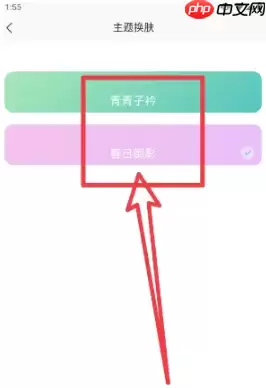 小果记账如何更换主题 小果记账更换主题操作一览
