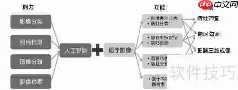 智能医疗影像系统方案开发：推动医疗行业新变革