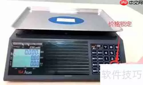 顶尖电子秤使用指南:精准测量,轻松上手