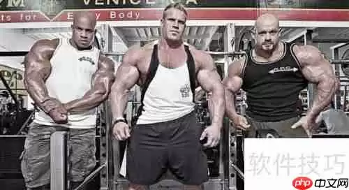 健身和健美有何区别？一文带你了解两者差异