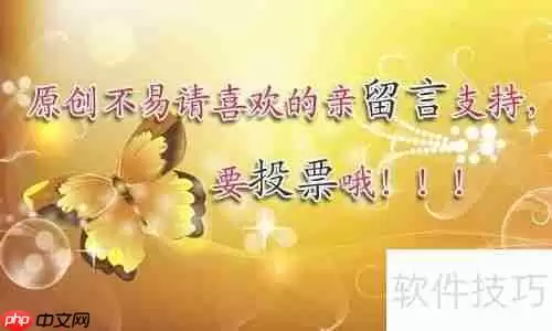 管家婆软件销售单格式设置指南