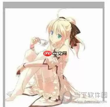 怎么用sai绘画软件为图片加上花纹 为图片加上花纹方法说明