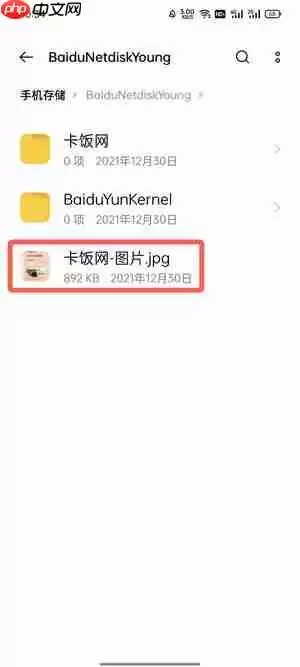 百度网盘青春版下载的图片在哪里