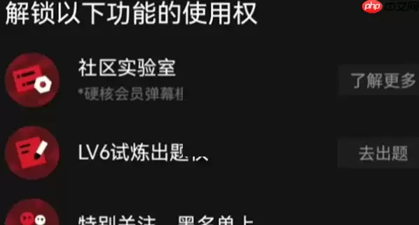 哔哩哔哩6级闪电标志怎么得