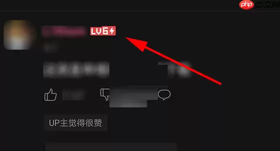 哔哩哔哩6级闪电标志怎么得