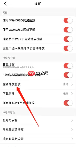 网易云音乐Hi-Res音质怎么开启