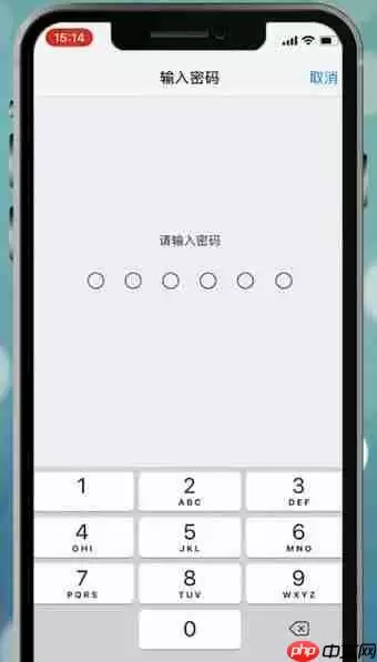 苹果手机设置面容id不能用怎么办？解决面容id不能用的方法介绍