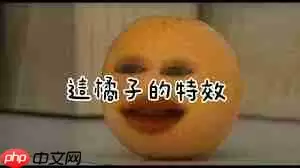 橘子影视用不了如何解决