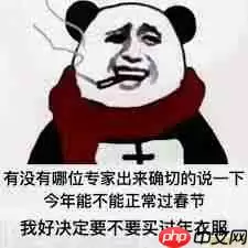 抖音过年了是什么意思