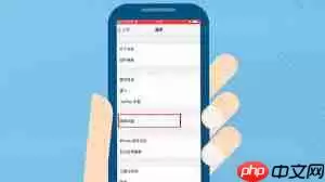 苹果手机消息闪光灯怎么关闭