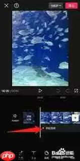 剪映卡点音乐怎么找