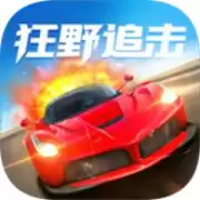 狂野追击