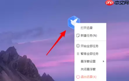 迅雷11怎么显示悬浮窗口？迅雷11显示悬浮窗口的方法
