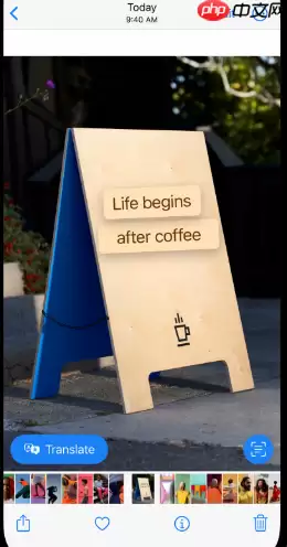 ios16怎么提取视频文字