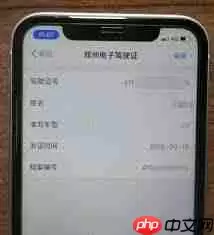 支付宝电子驾驶证交警认可吗