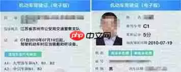 支付宝电子驾驶证交警认可吗