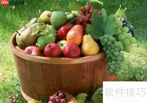 瘦人如何科学增肥?健美入门指南告诉你答案