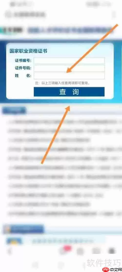 全国联网查询系统:如何进行查询操作