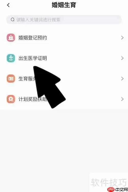 医学出生证明申请指南
