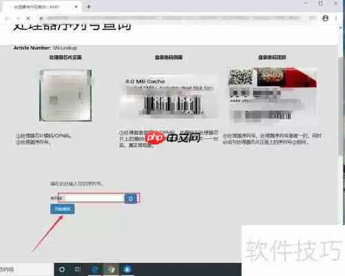 AMD序列号查询系统:轻松获取处理器详细信息