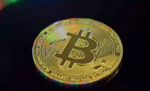 NFT名气最大交易平台APP汇总 NFT交易平台APP免费交易iOS榜单-第1张图片-本站