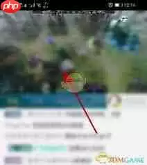 B站直播区在线观看人数是多少