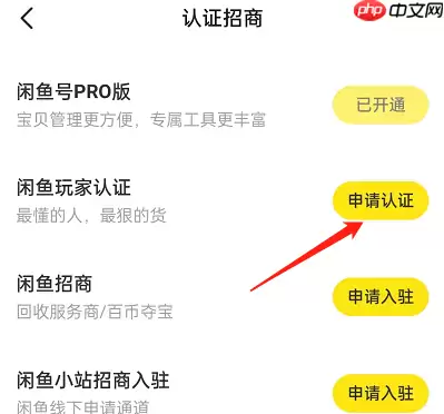 闲鱼玩家认证入口在哪