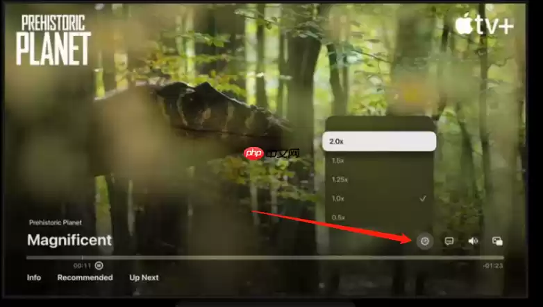 ios16视频播放器倍速播放在哪