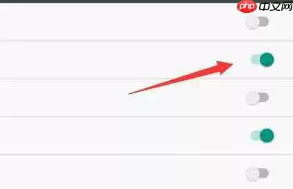 雷电模拟器储存权限怎么打开?雷电模拟器储存权限打开方法