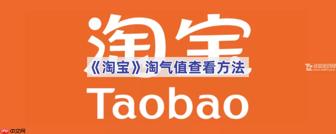 《淘宝》淘气值查看方法