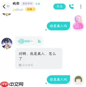 soul屿你是真人吗 soul屿你虚拟伴侣为啥秒回