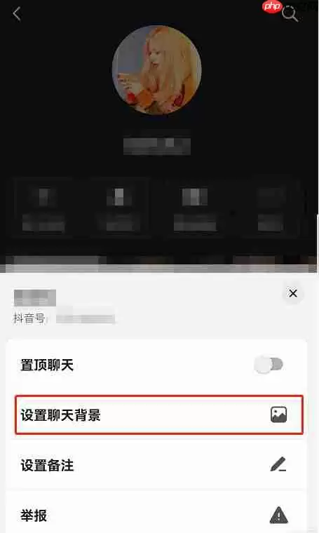 抖音共同聊天背景如何设置 抖音共同聊天背景设置方法分享