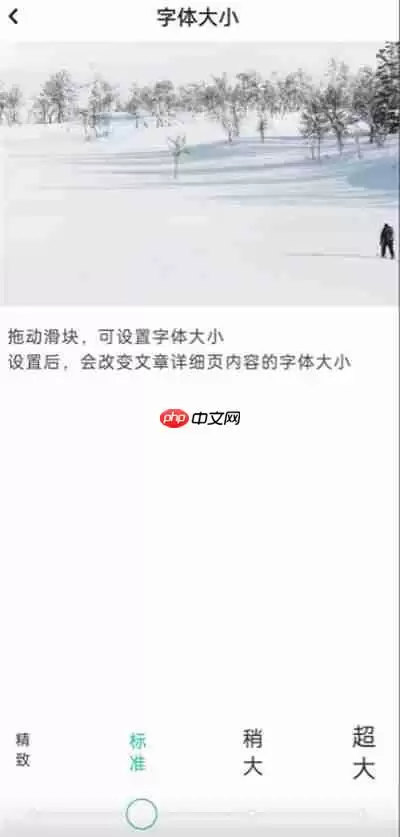 LOFTER怎么更改字体大小