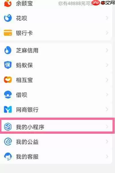 支付宝的小程序删除方法