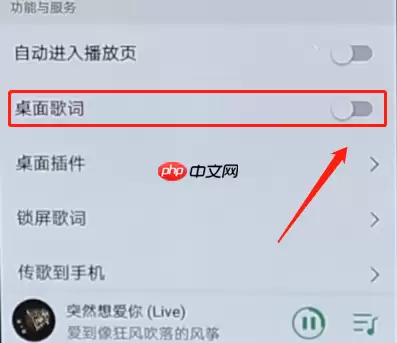 QQ音乐怎么解锁桌面歌词？解锁桌面歌词的操作步骤分享
