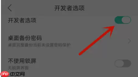 在OPPO R15x中如何关闭开发者模式？关闭开发者模式的方法说明