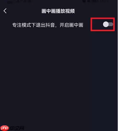 抖音画中画播放视频怎么开启