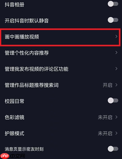 抖音画中画播放视频怎么开启