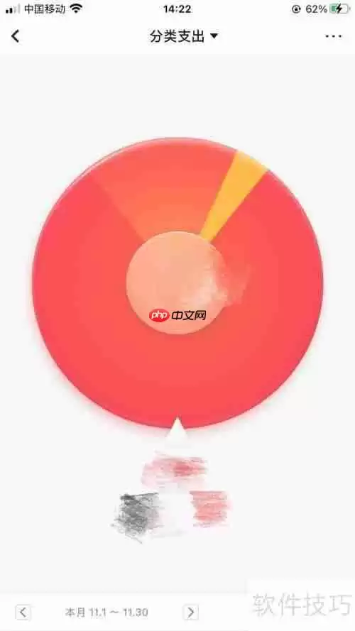 随手记图表分析功能使用指南