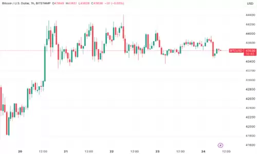 交易员称比特币价格蓄势待发:4.5万美元成目标-第1张图片-本站