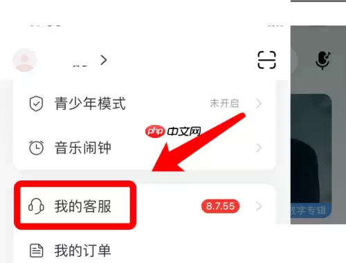网易云音乐怎么实名认证